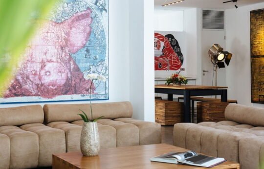 plush sofas with coffee table