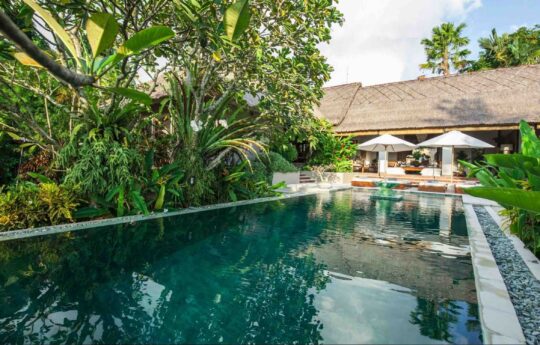 large swimming pool of villa surrounded by lush garden area and two umbrellas