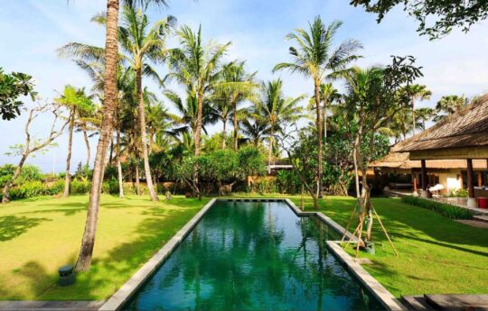 swimming pool surrounded by green garden area and palm trees