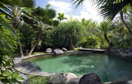 Canggu Villas – Villa Dea Radha, swimming pool Villa Dea Radha Canggu Villas