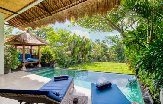 Canggu rcefield views from the lounge area of Villa