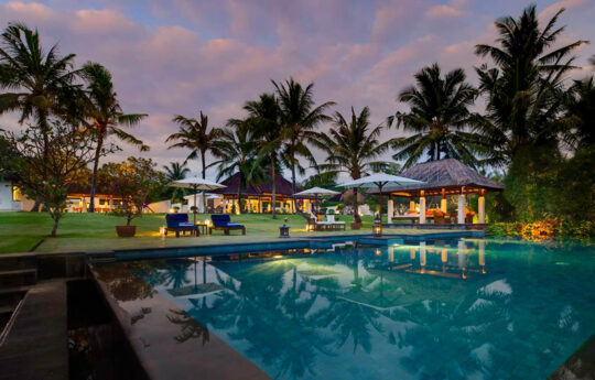 Swimming pool at sunset with palm tress