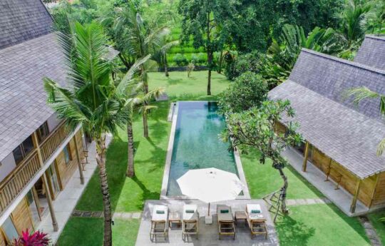 Villa Alea, pool area View of villa exterior with rice field and swimming pool vvistas