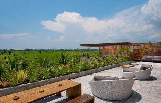 Roof top sitting area with rice field views