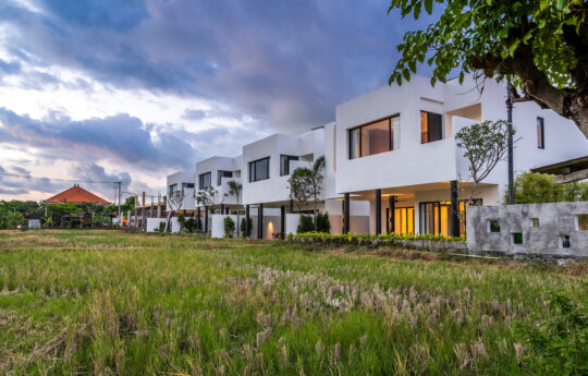 modern villas in canggu bali with ricefield views