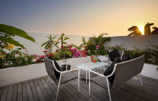 Outdoor dining table with tropical garden plants