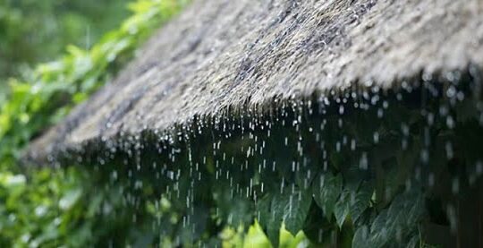 What to do in Bali when it rains raning in Bali