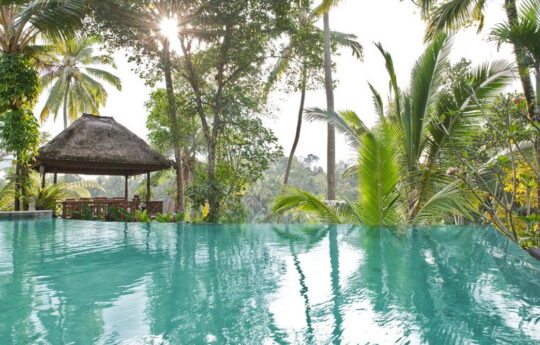 Swimming pool and jungle views with outdoor gazebo area