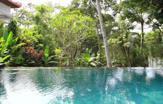 Villa shamballa moon ubud holiday rental Villa shamballa moon ubud holiday rental