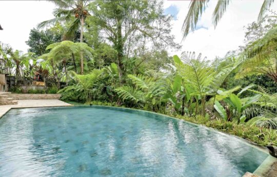 infinity swimming pool of ubud villa with jungle views