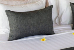 Book Villa Bhagwan - contact Bali Villa Escapes!