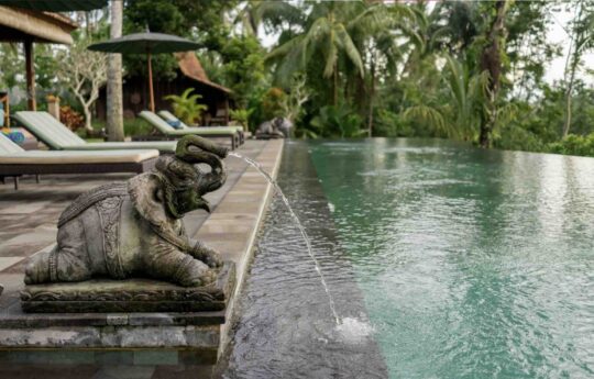 swimming pool with jungle views and day beds with bali-style statue