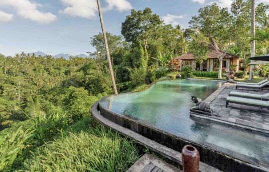infinity swimming pool with jungle views with outdoor gazebo