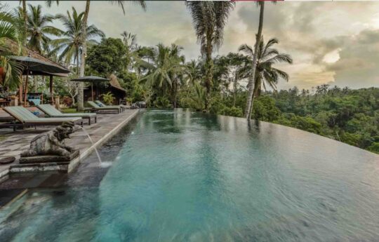 swimming pool and jungle views with day beds by the pool