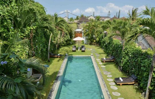 Full length view of swimming pool from above with garden area and day beds