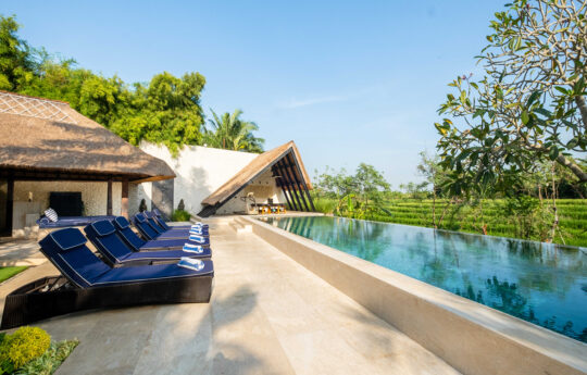 Infinity swimming pool with rice field views and day beds