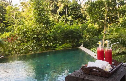 Villa Umah Shanti Villa Umah Shanti pool view with tropical backdrop of trees