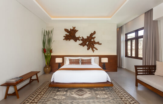 Modern bedroom with king bed