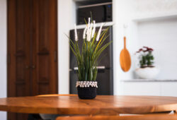 Rent Villa Madiba 2 - contact Bali Villa Escapes now!